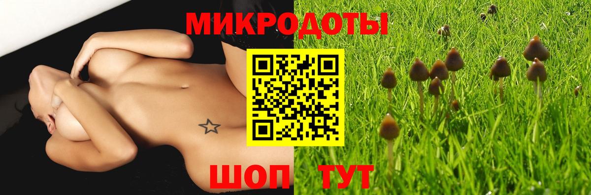 Тула  Псилоцибиновые грибы Psilocybine cubensis  Вход с VPN 