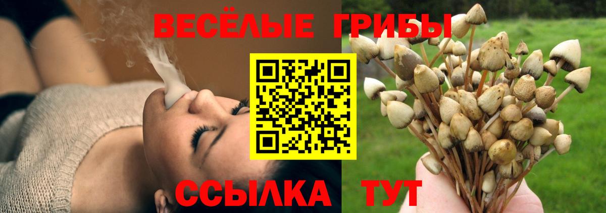 Псилоцибиновые грибы Cubensis Тула