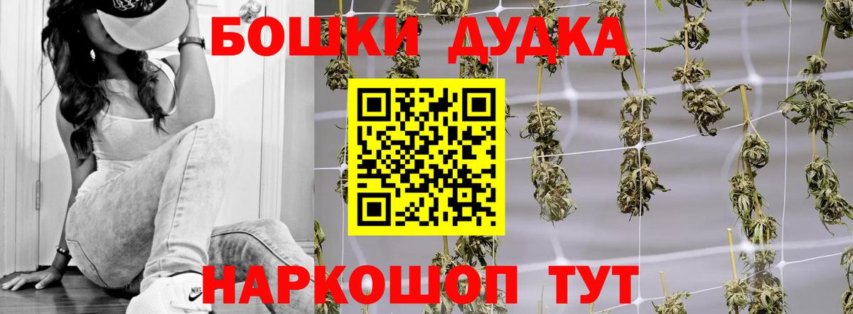 Бошки Шишки план Тула